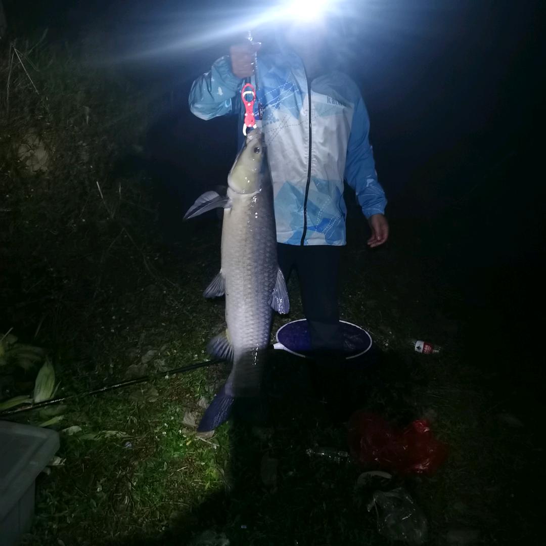 石首库斯家居熊大师