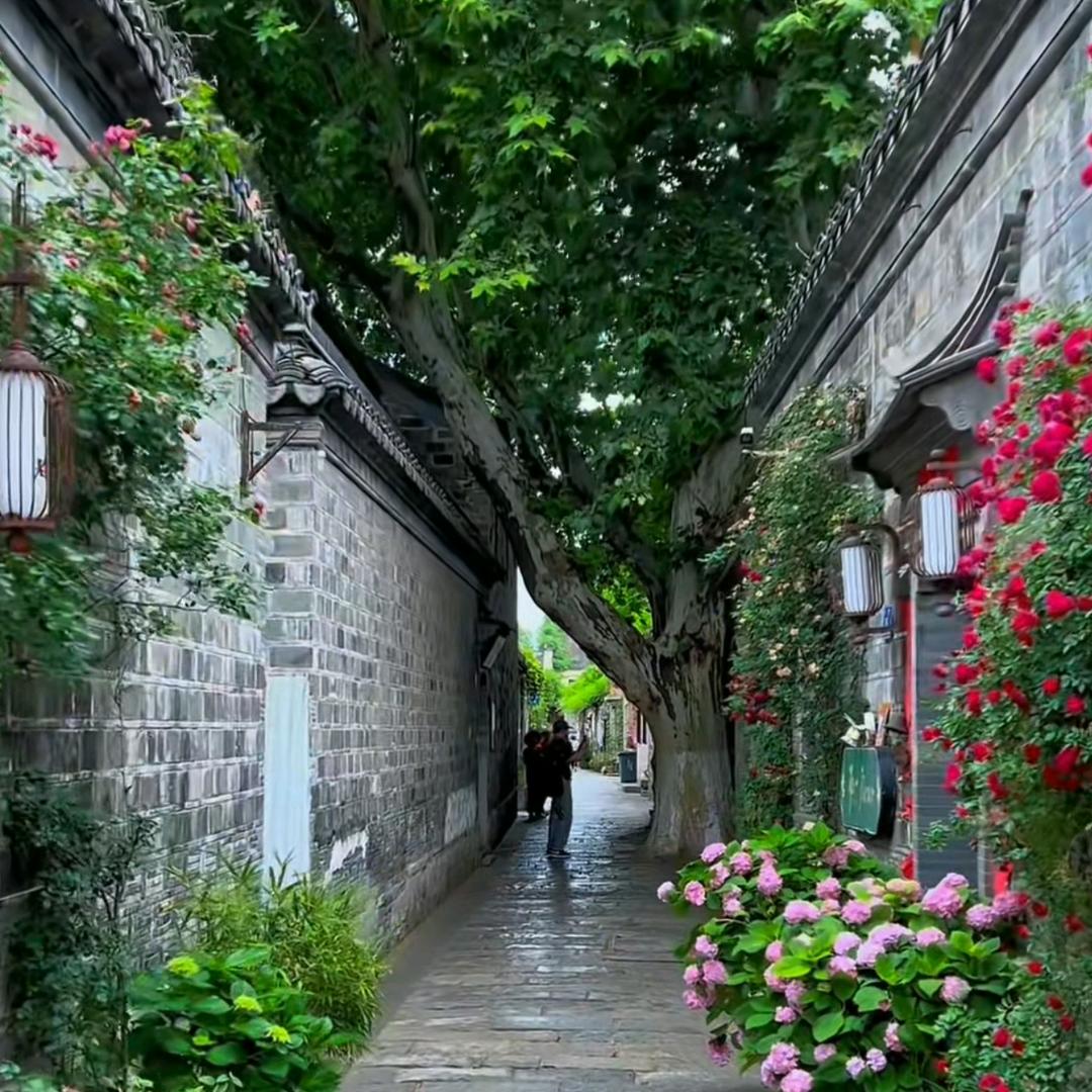 静沐暖阳