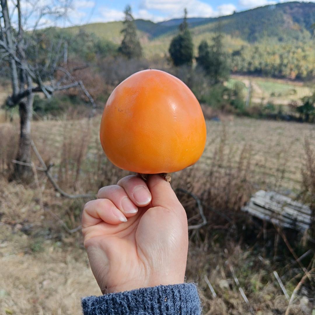 曾经最美，
