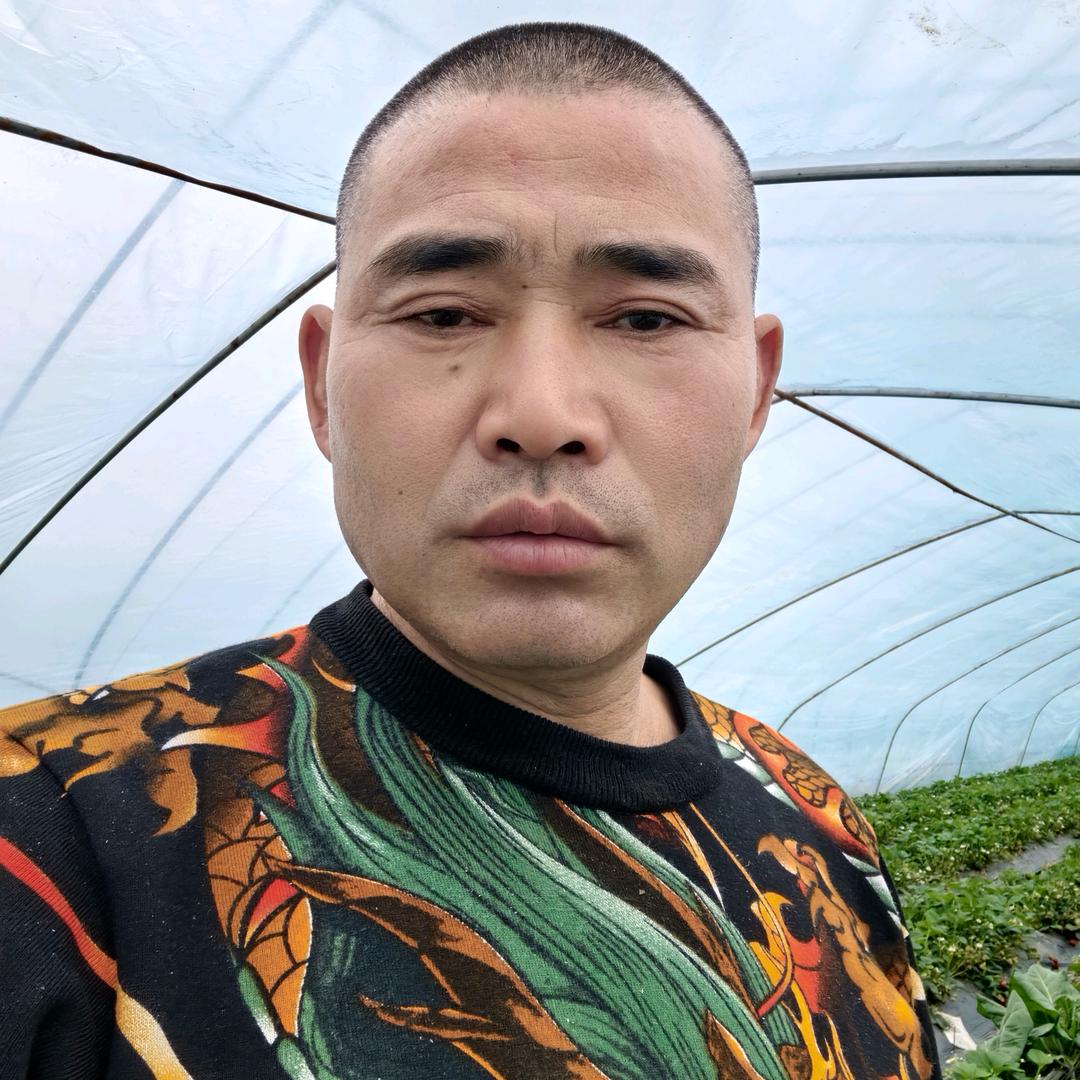 凡哥