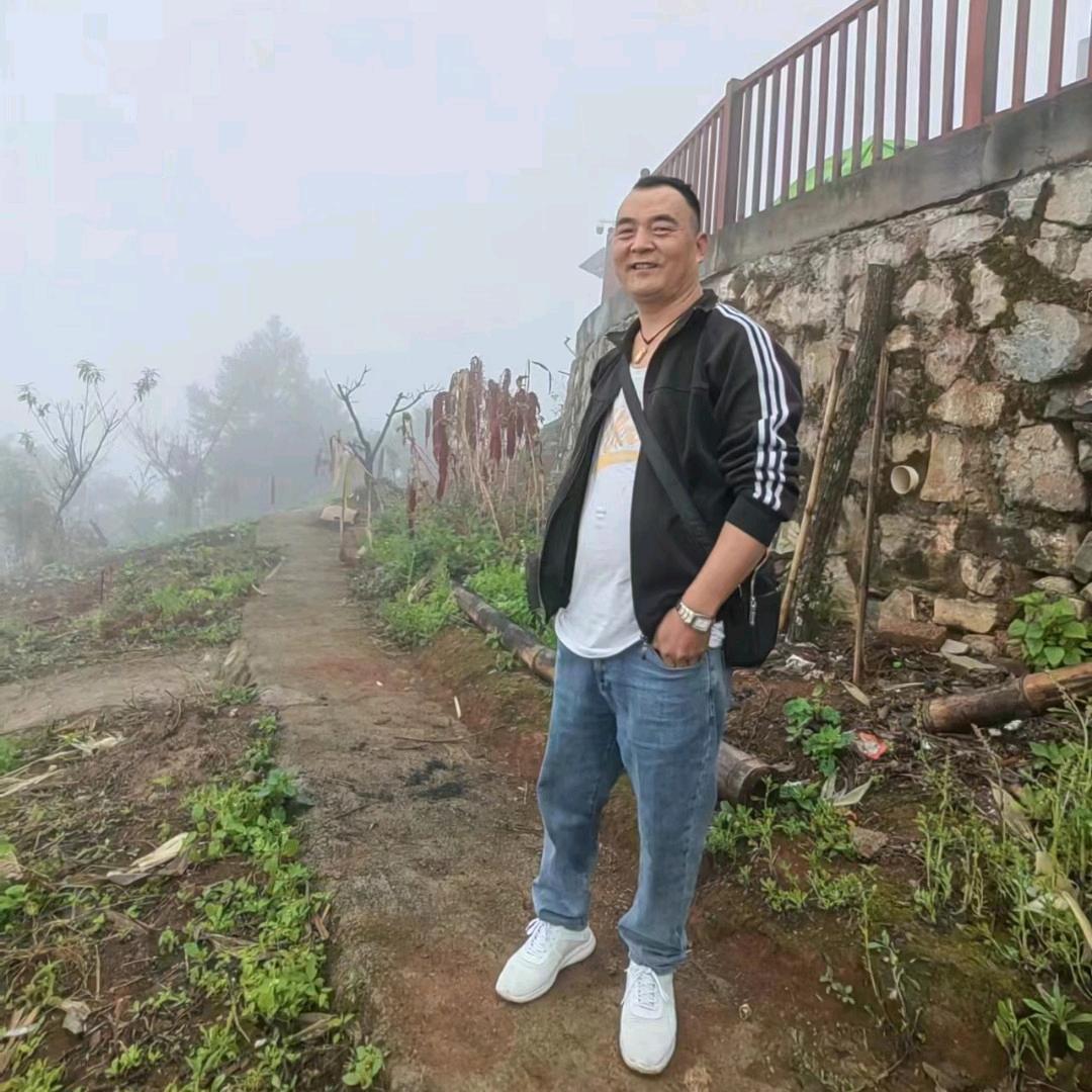 飞鸥逐光。