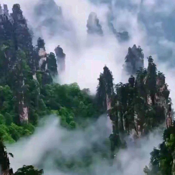 顺其自然美