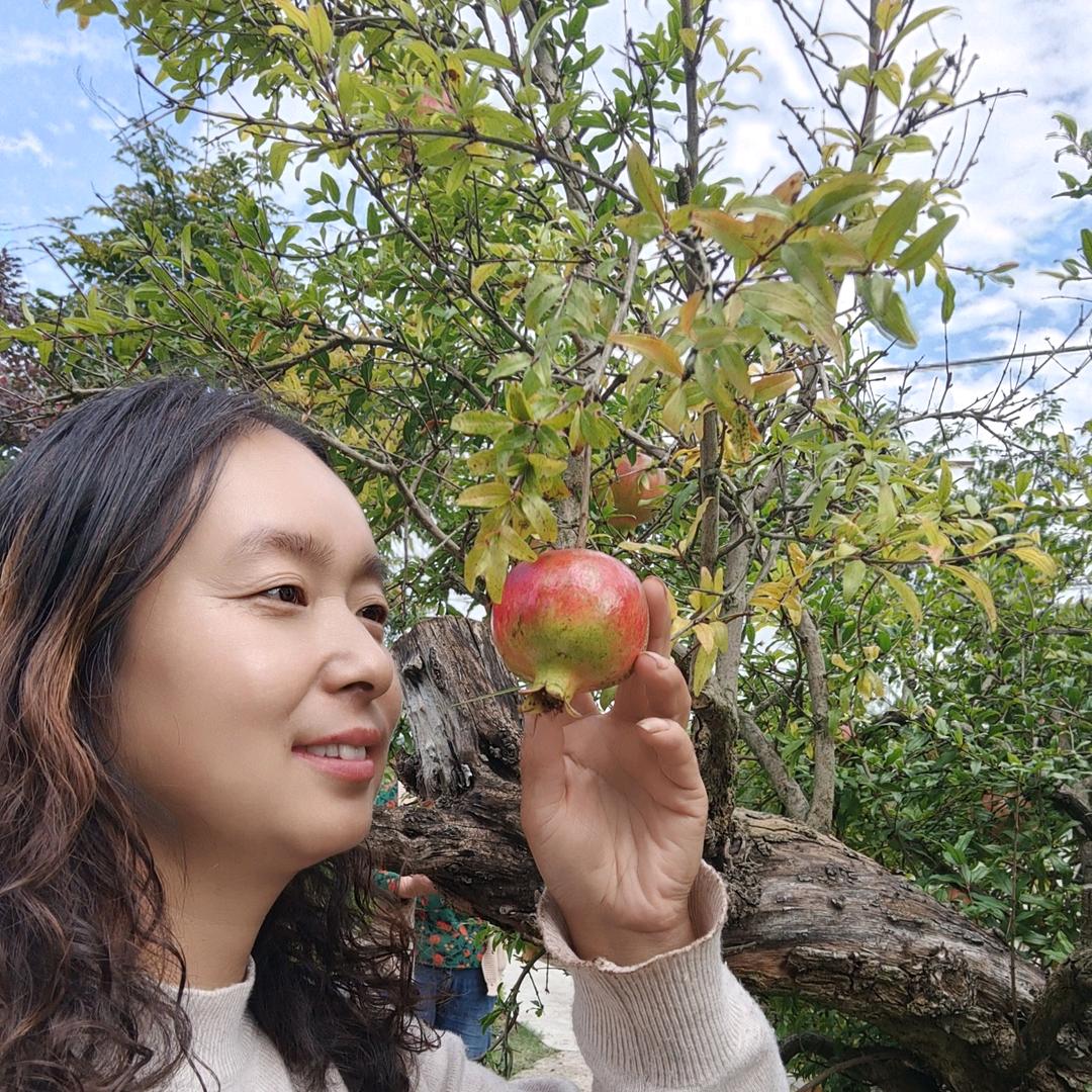 姐是女王👑