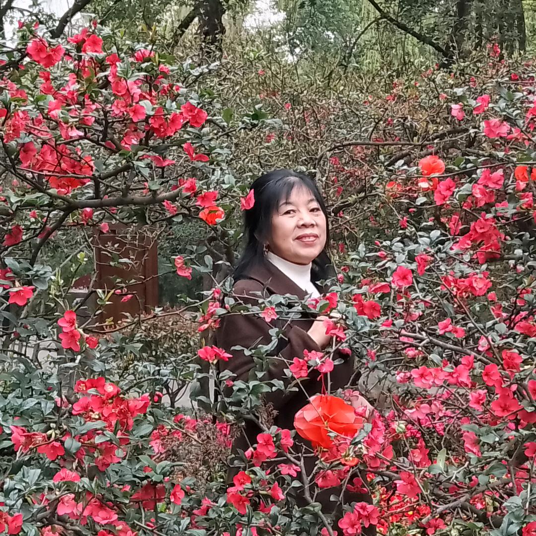 朱蓉