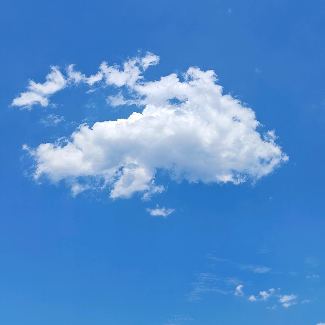 泛述
