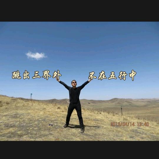 张科