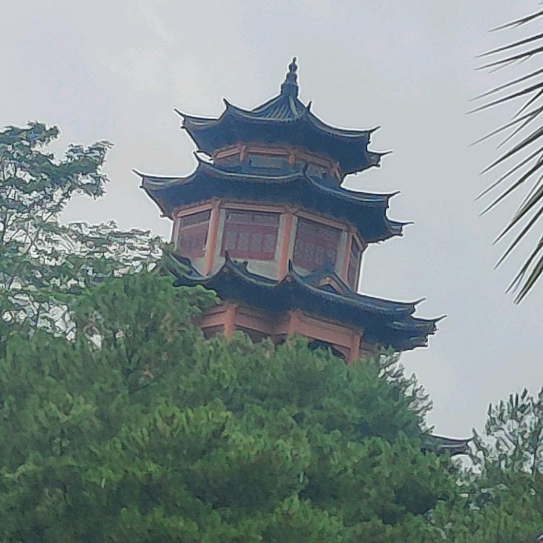 春天的美