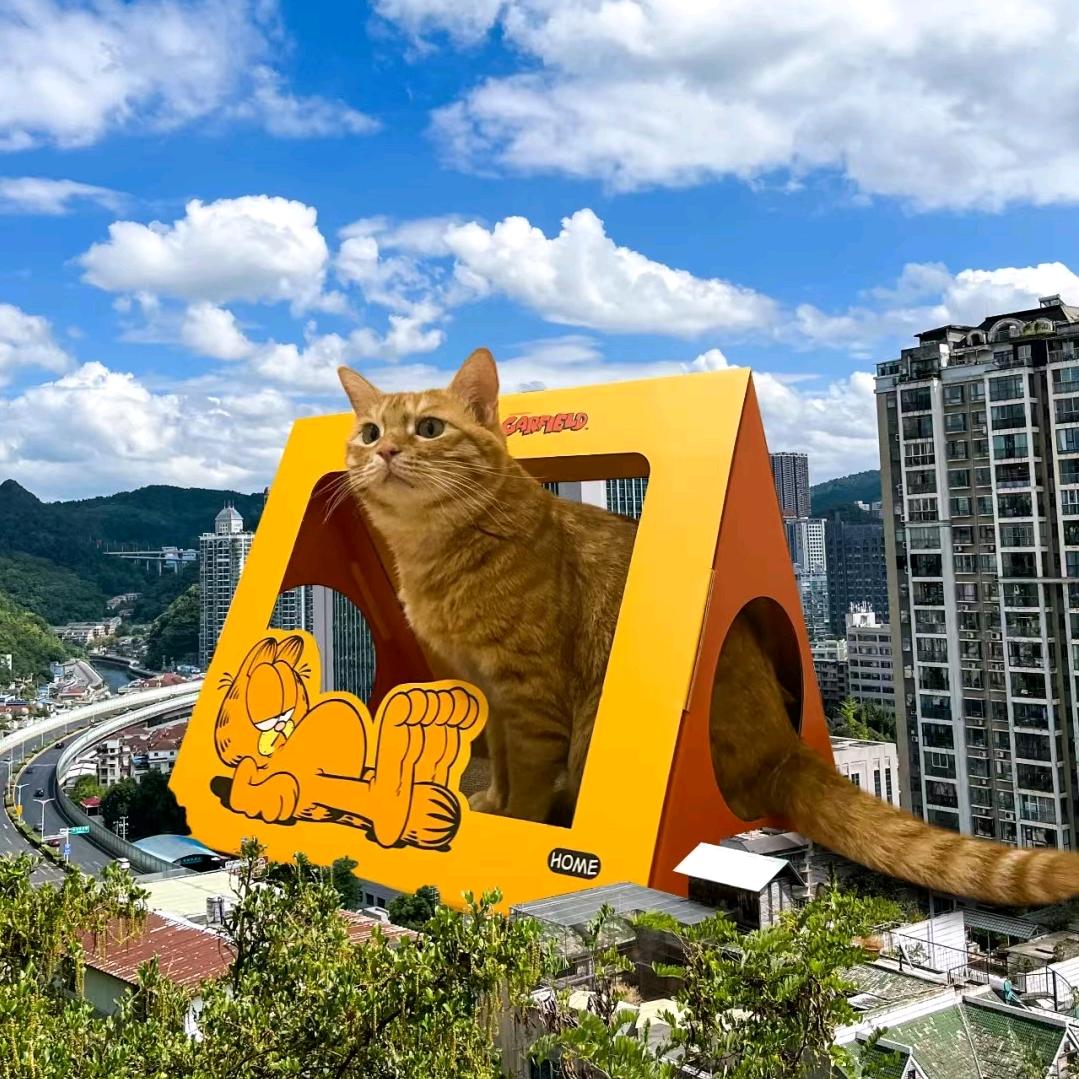 不发脾气只发财