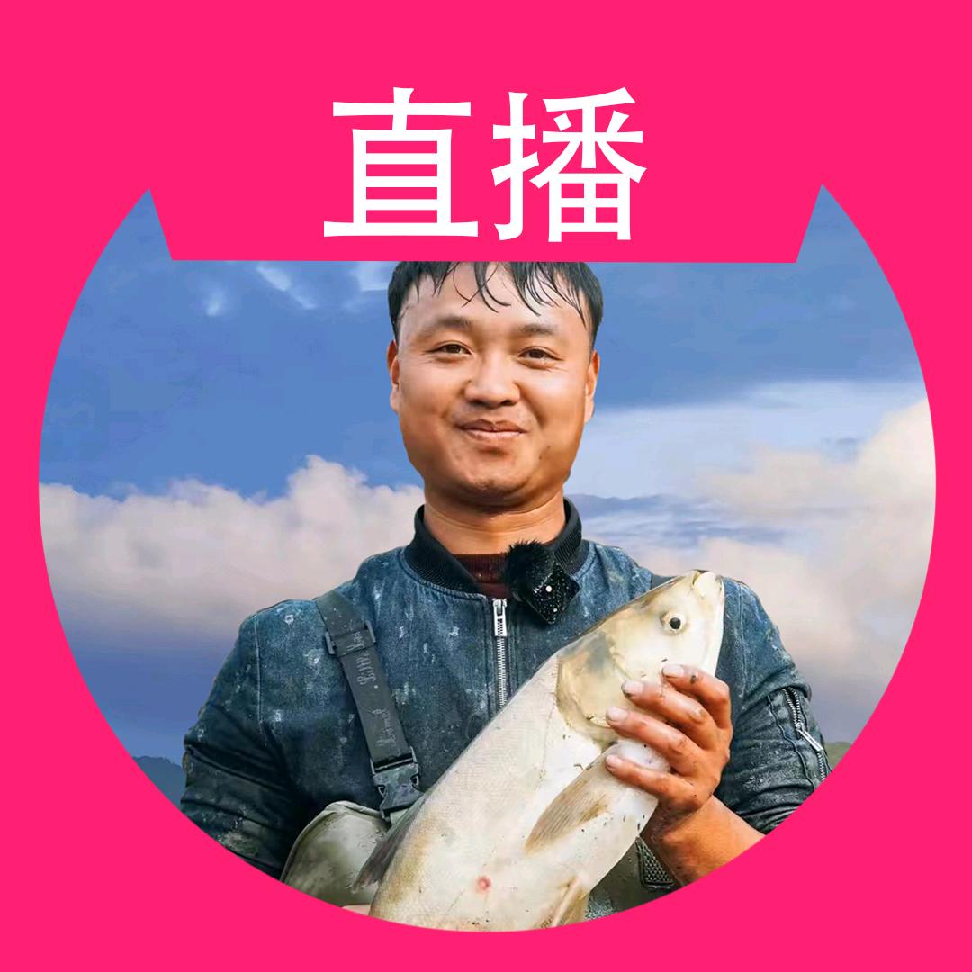 大表哥直播号（精彩回放）
