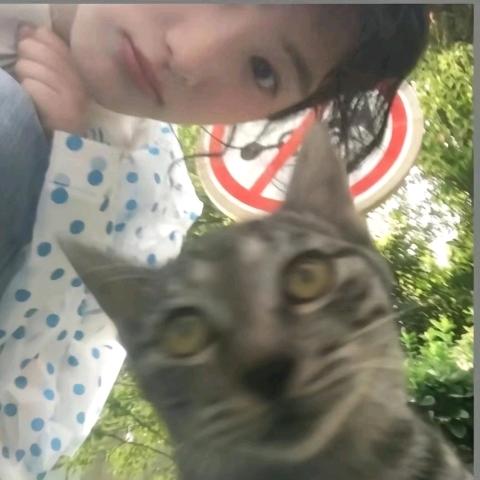嘉禾望岗/