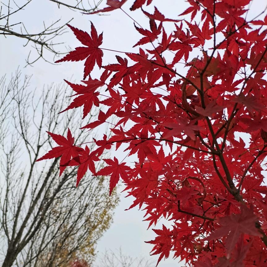 一八三零