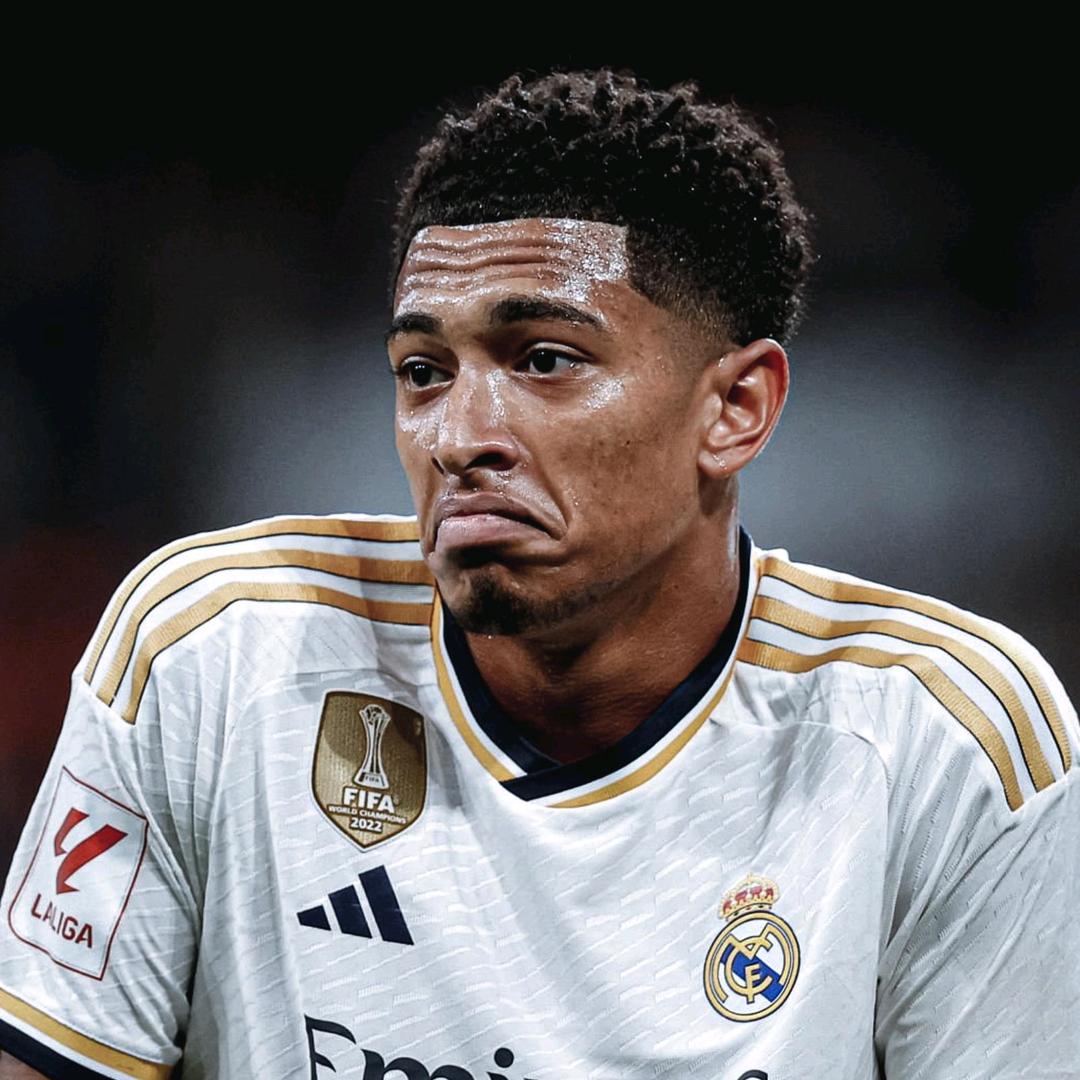 Hala Madrid（前叉损伤康复中）