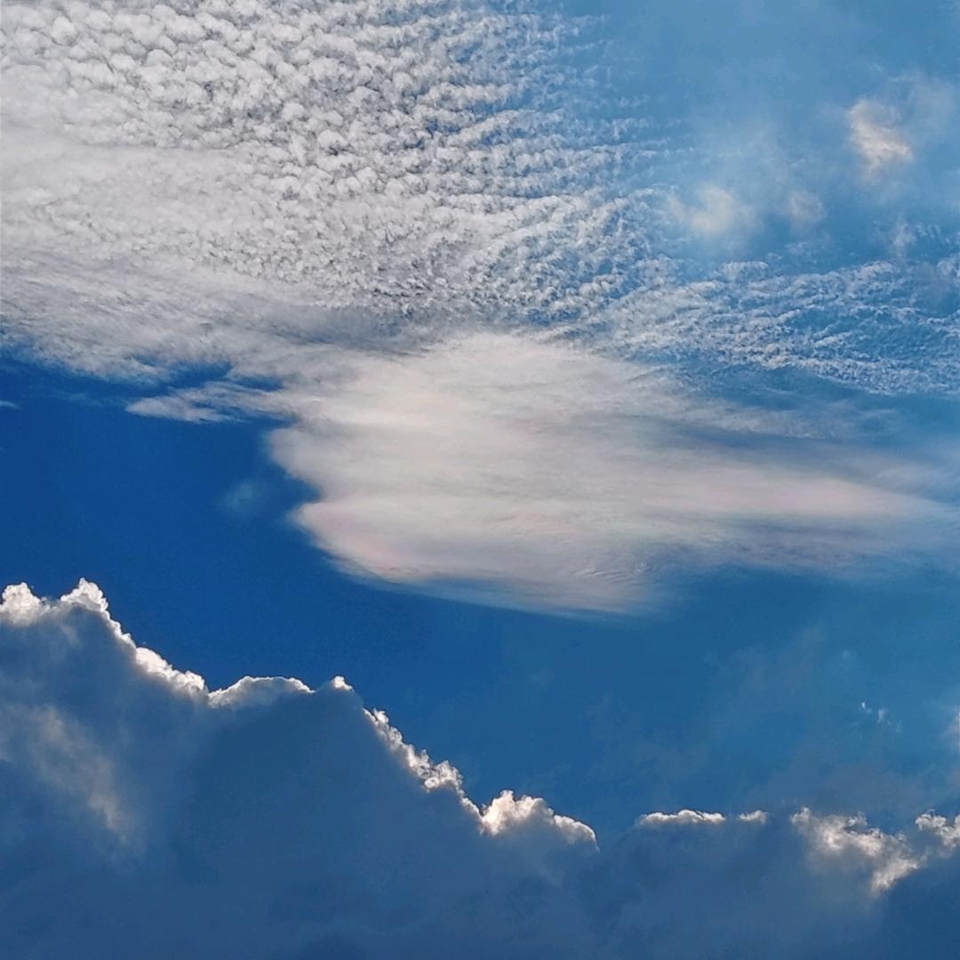 聊城金鼎购物中心周大生姚鲁杰