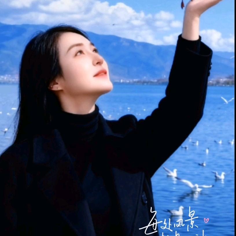 紫晨