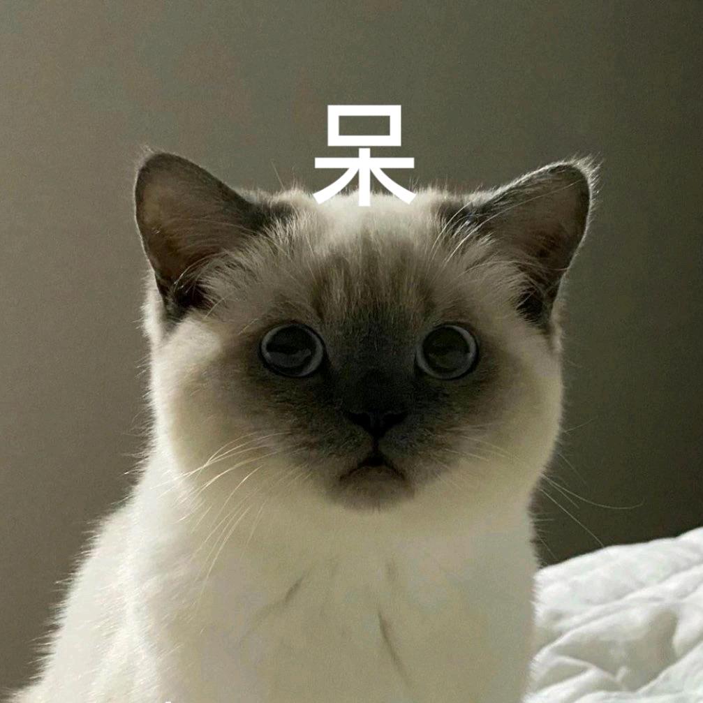lovable懒懒