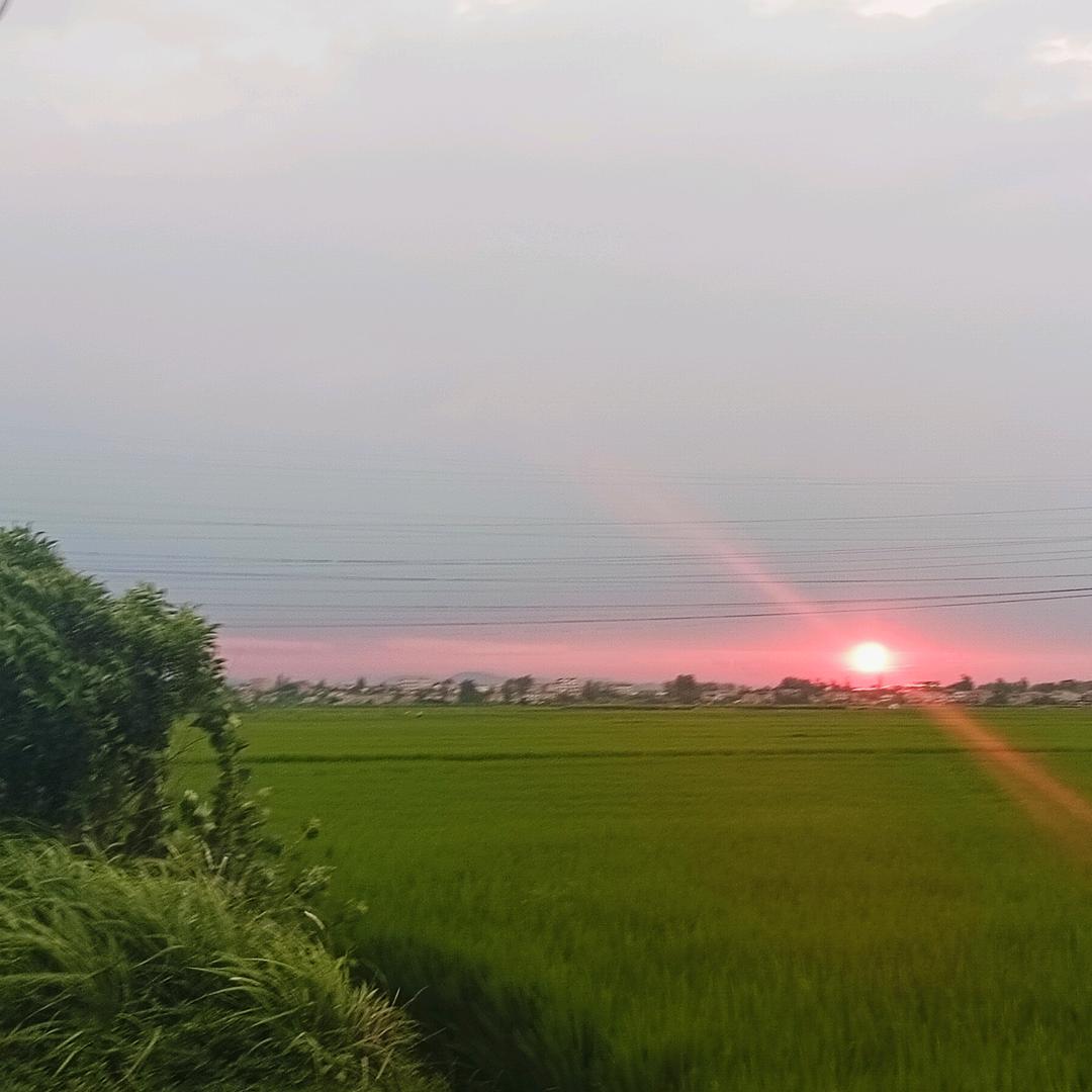 孤❣️💔❣️狼