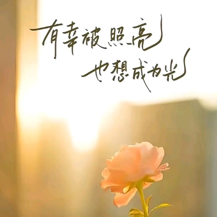 旋转