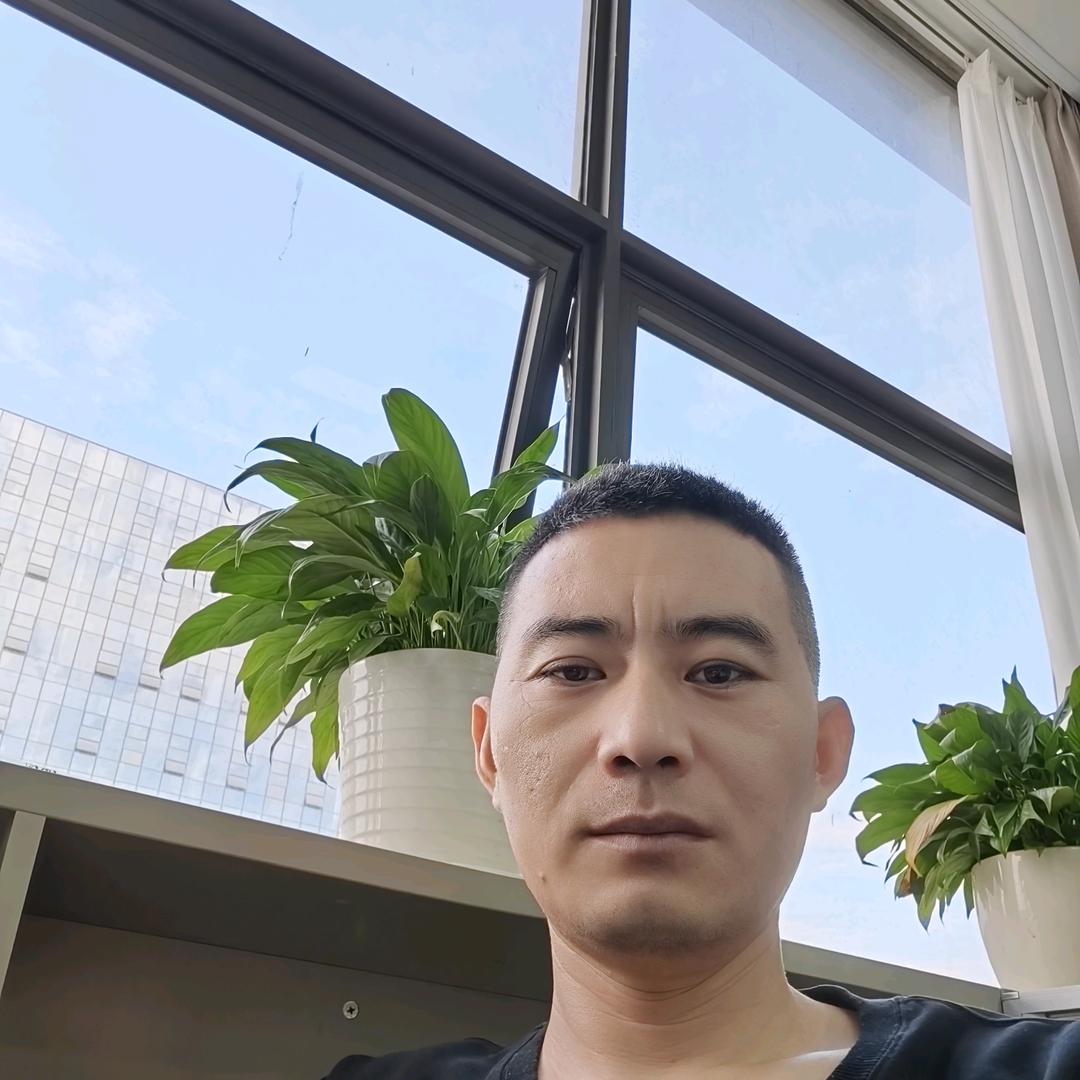 北方的狼