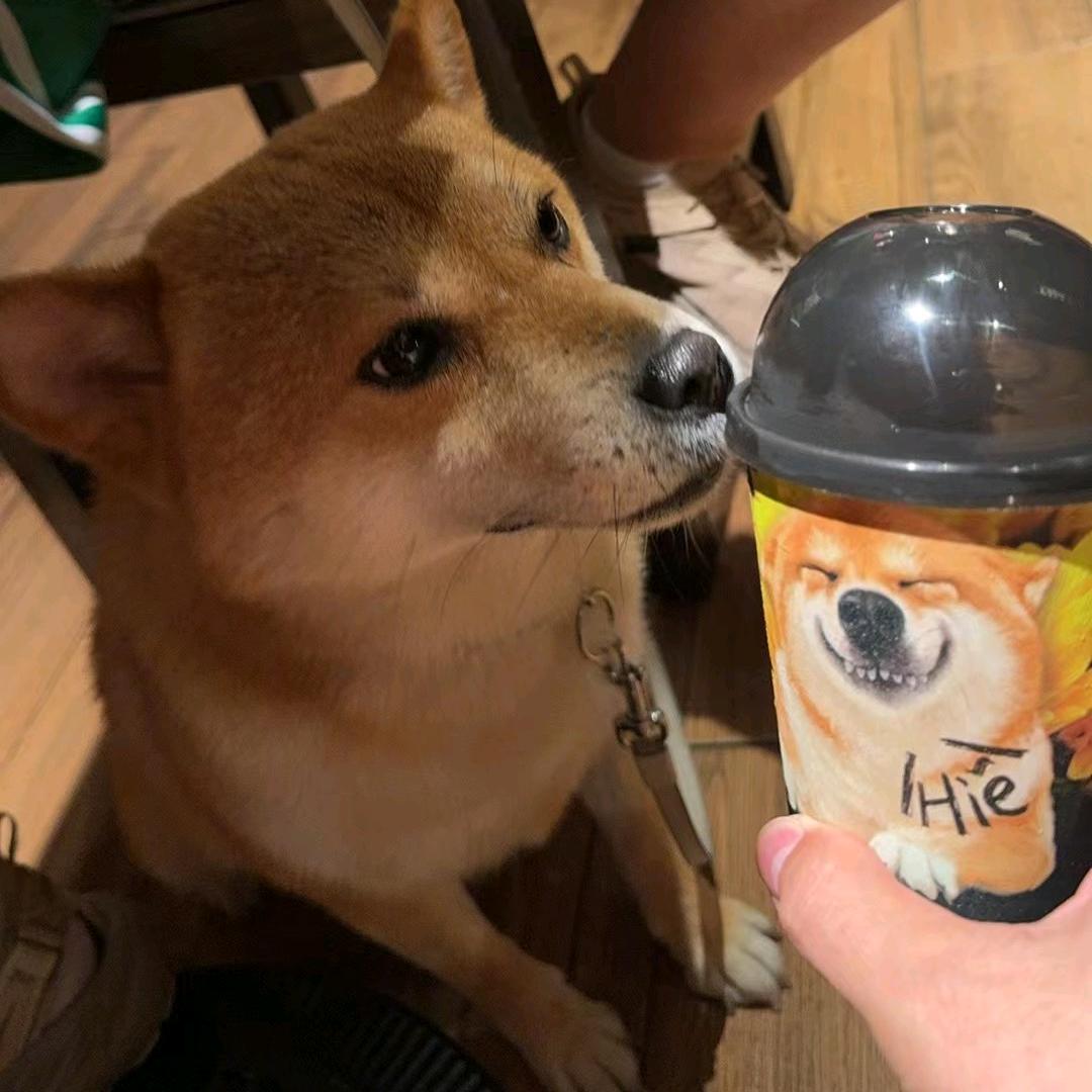 莫非还行