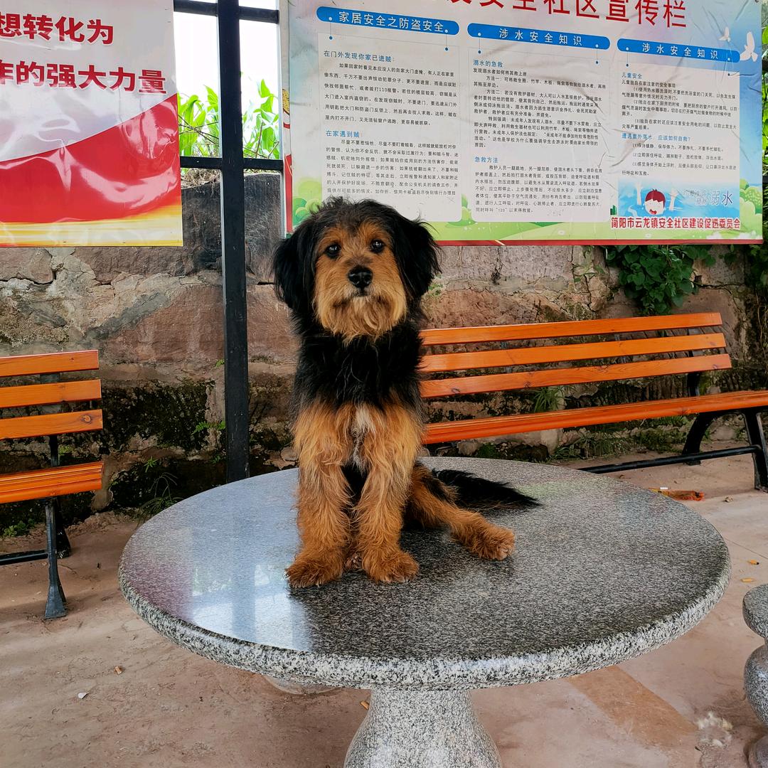 乖宝张小点