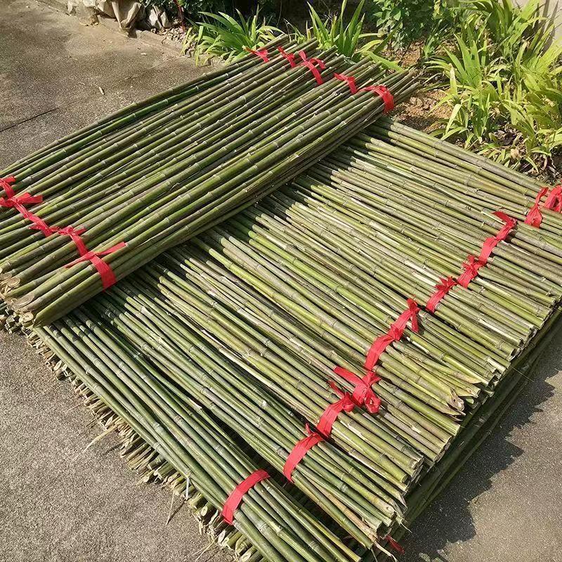 竹子厂家