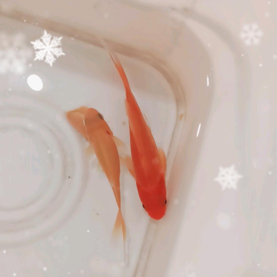 雨过，天晴