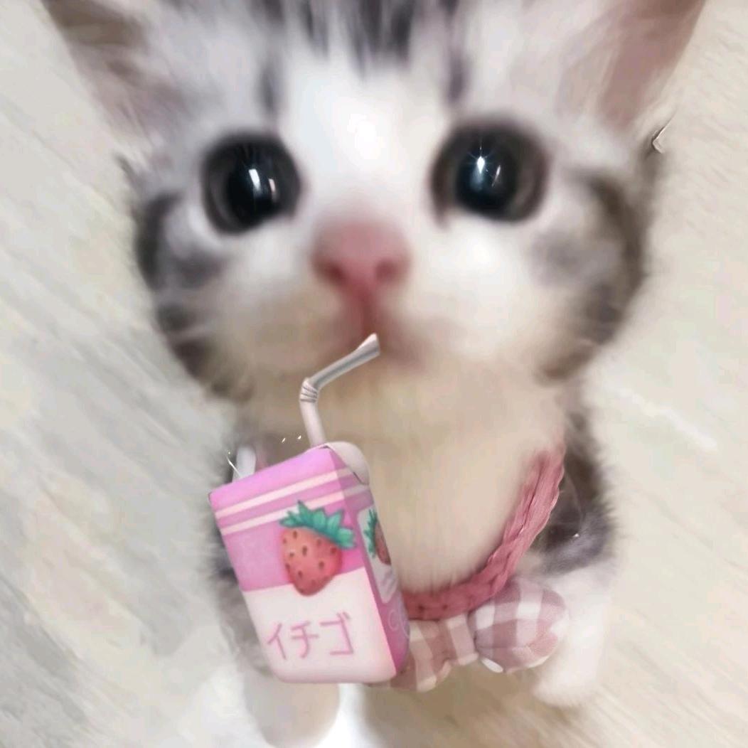 屌丝女士