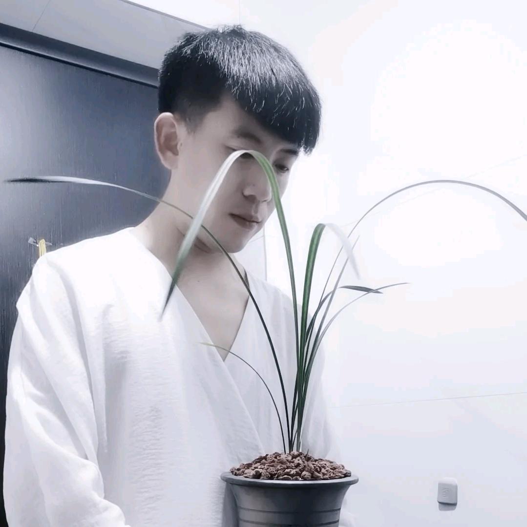 半坡堂