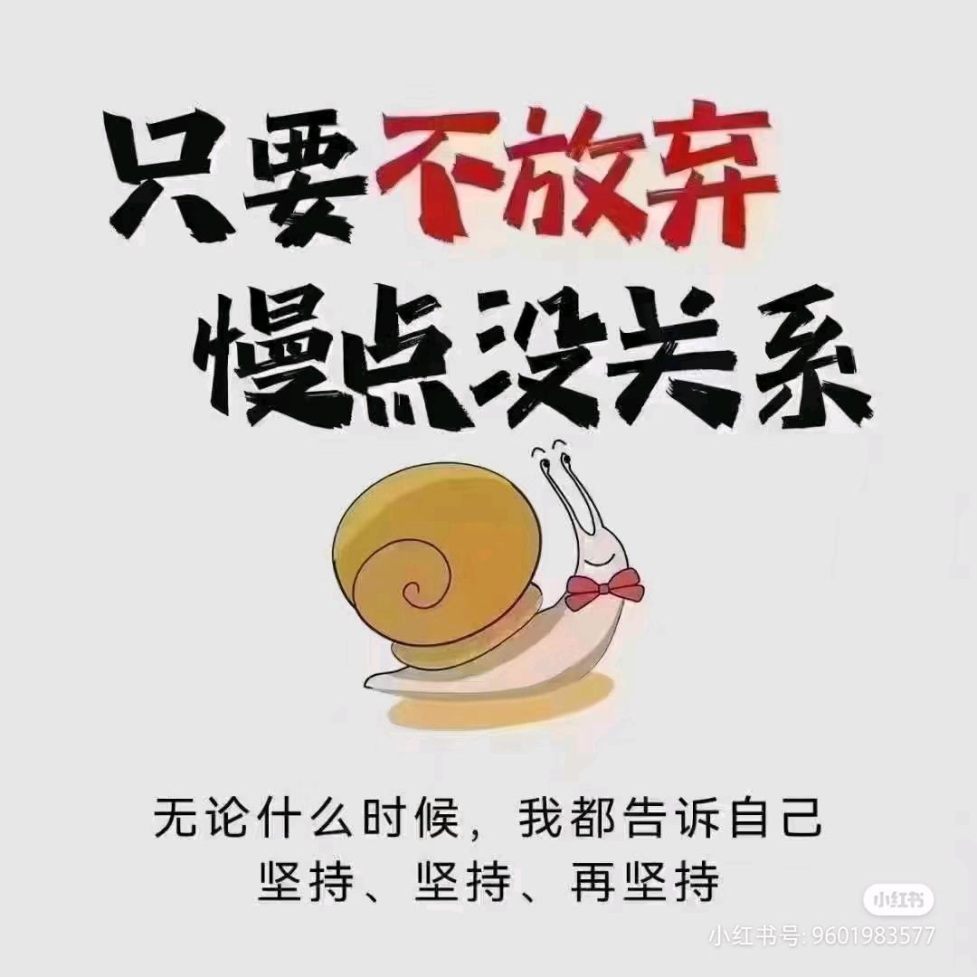 🌻️🌻️🌻️花姐