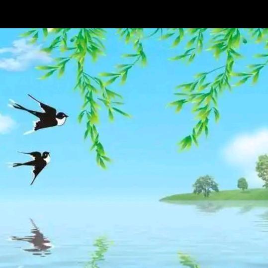 麦穗