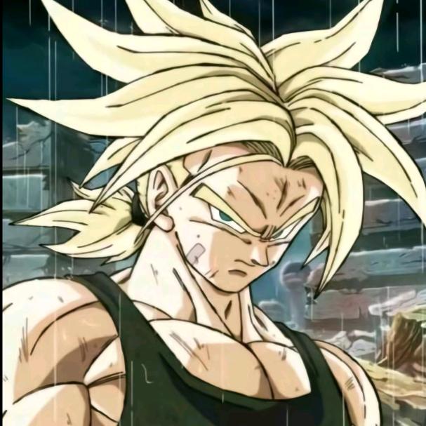 超级赛亚人🔥