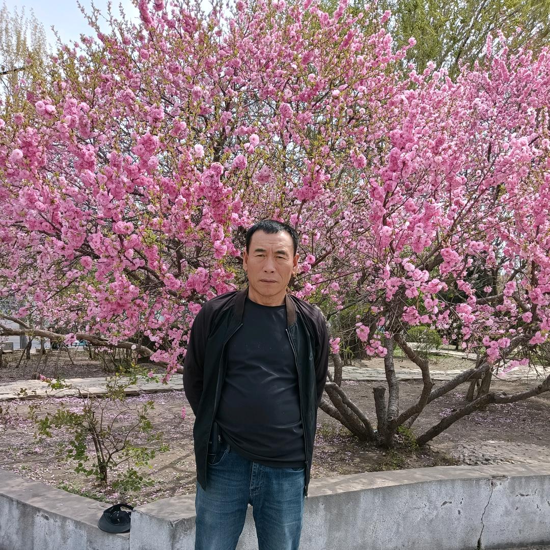 老张生活分享，