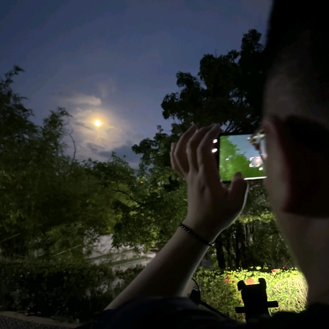 🌲松树下的月冉明