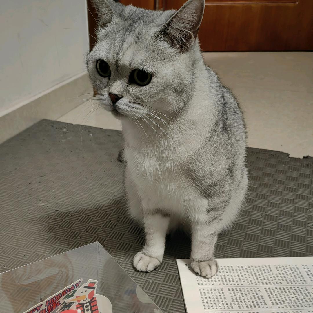 超级无敌冲锋队队长冲锋死亡斗士king