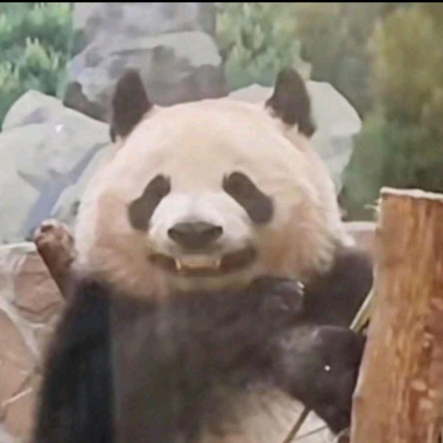 广告位招租头像