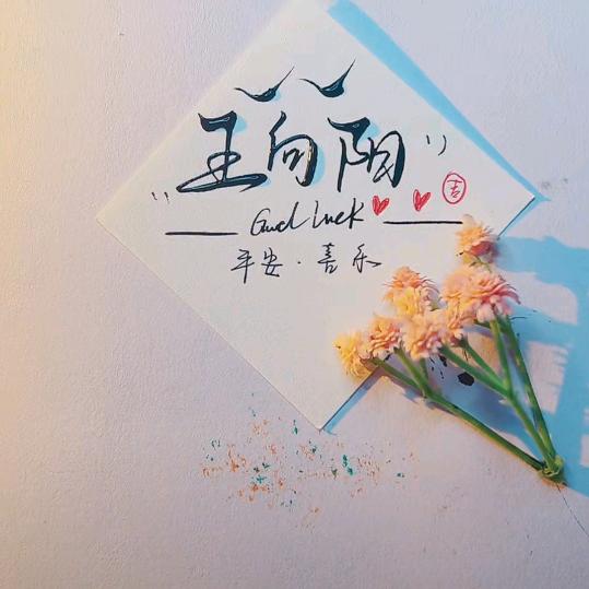 向阳而生