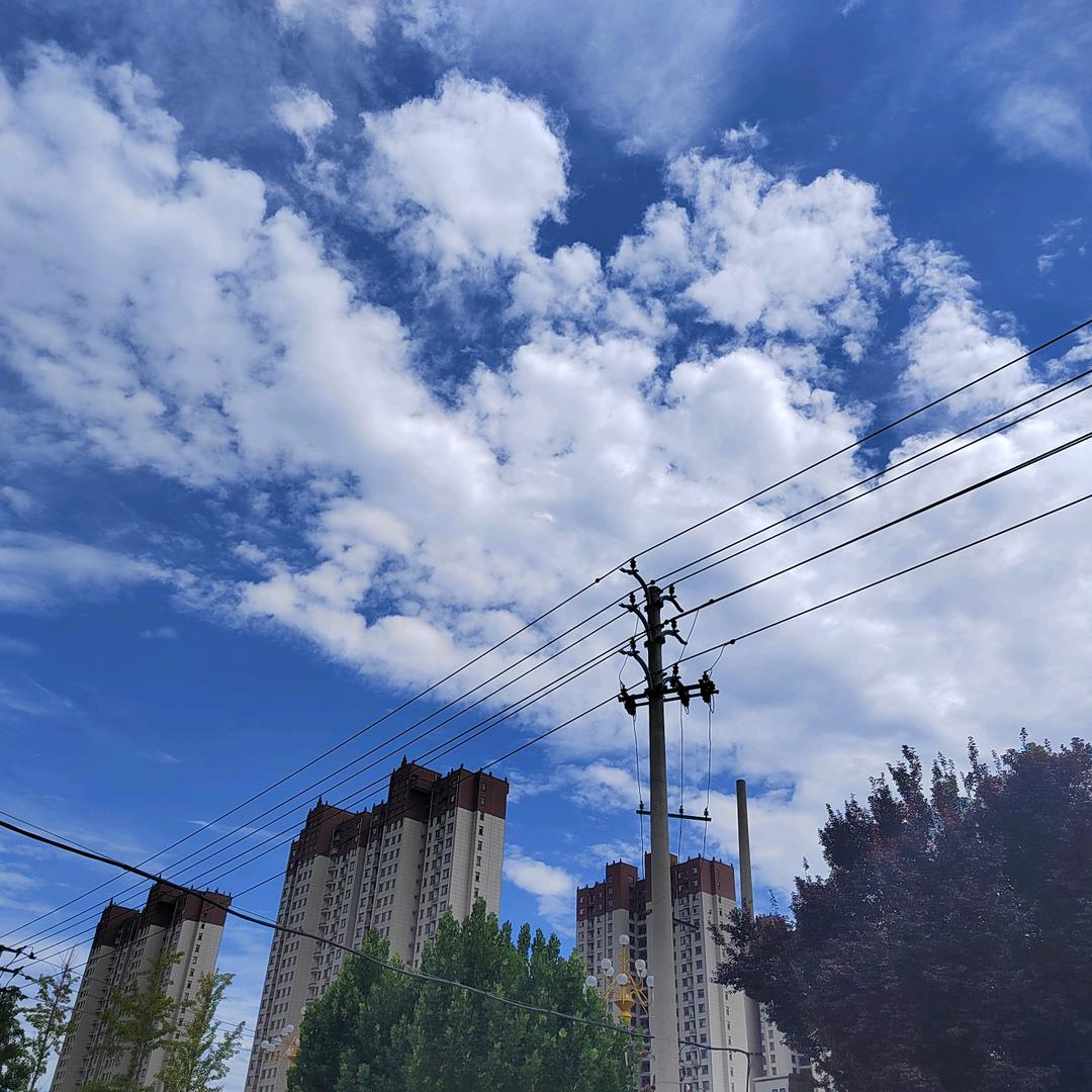 世通驾校单二妞