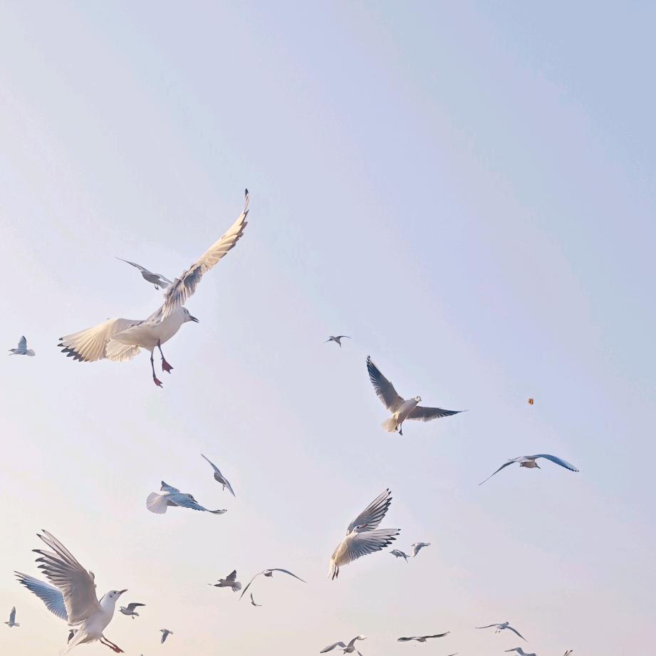 今天是个好日子