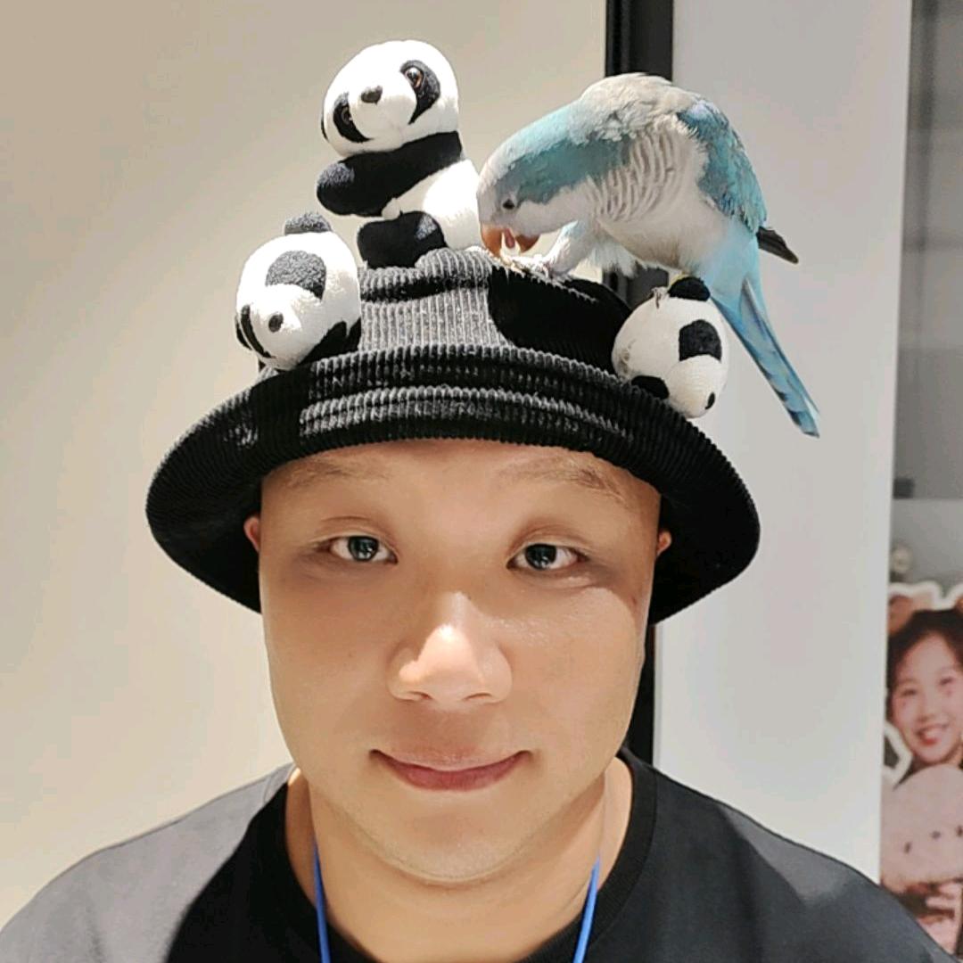 爱鹦鹉的熊猫哥