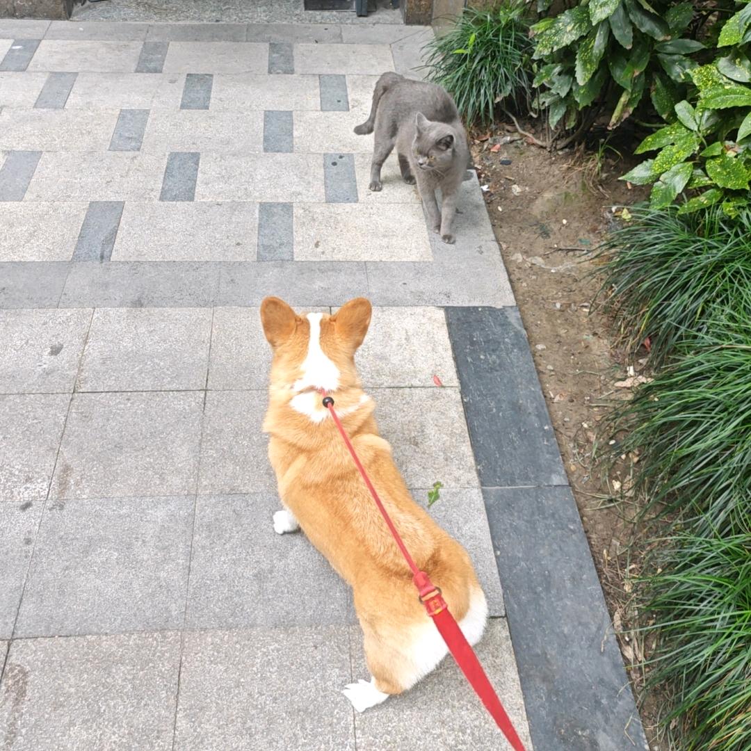 炙热的夏天