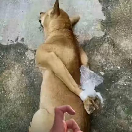 用户1036973364465