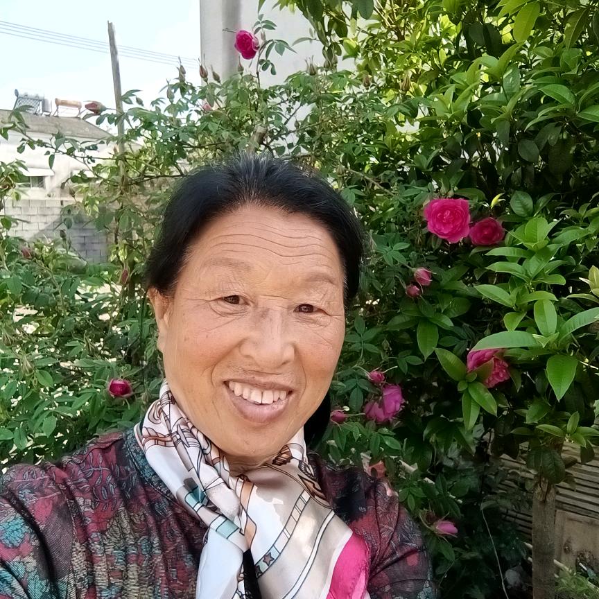 开心大姐