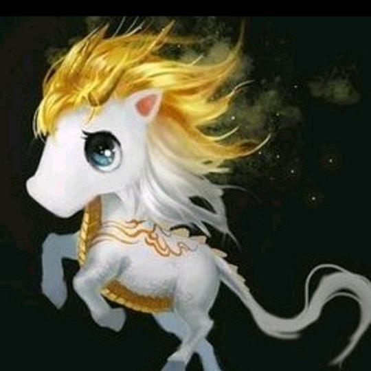 、指尖上的温存