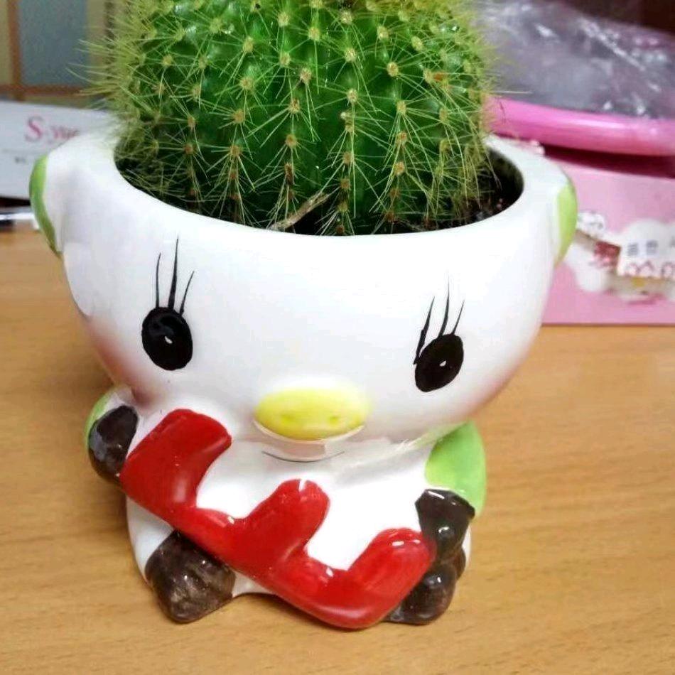蒋