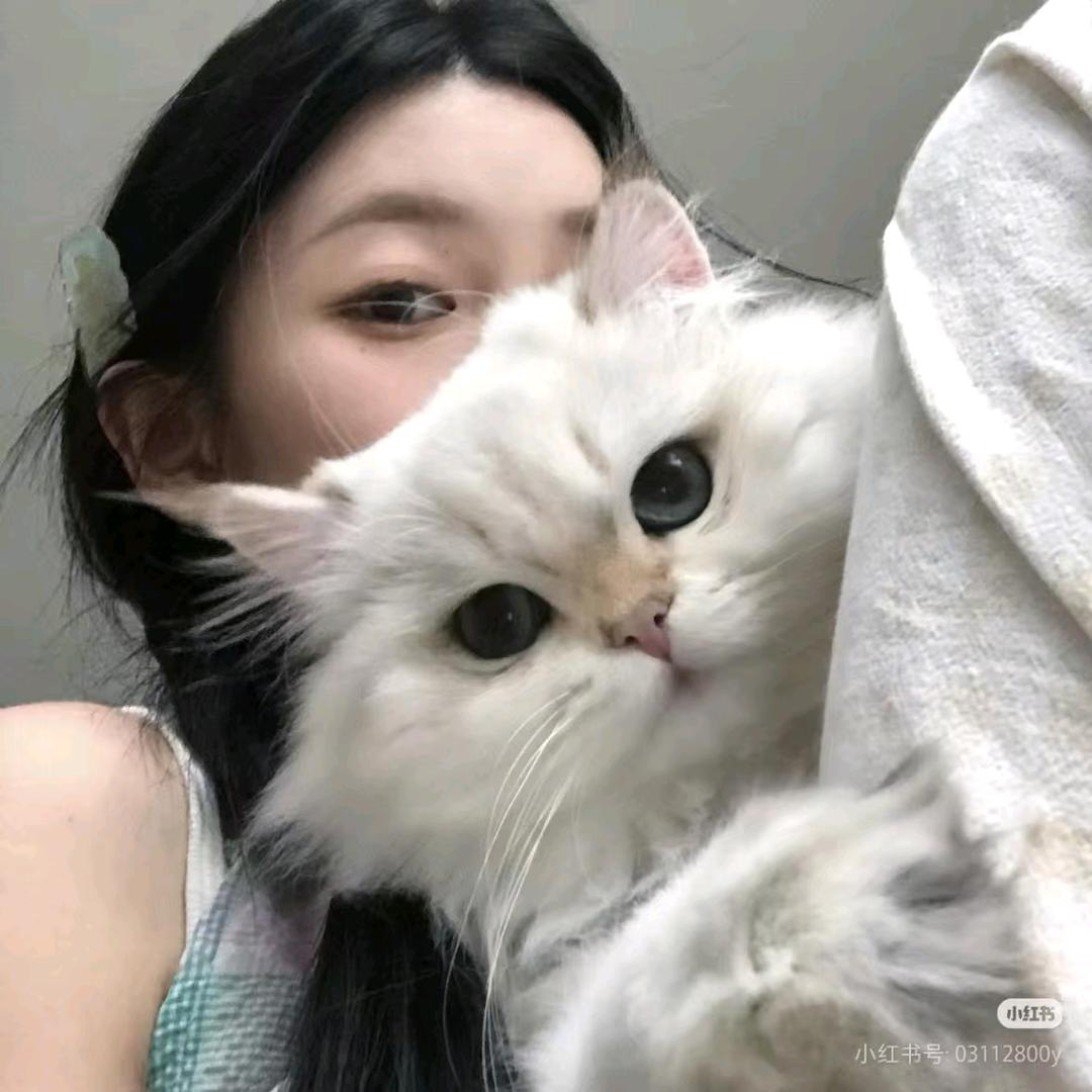 通通豆鲨喽