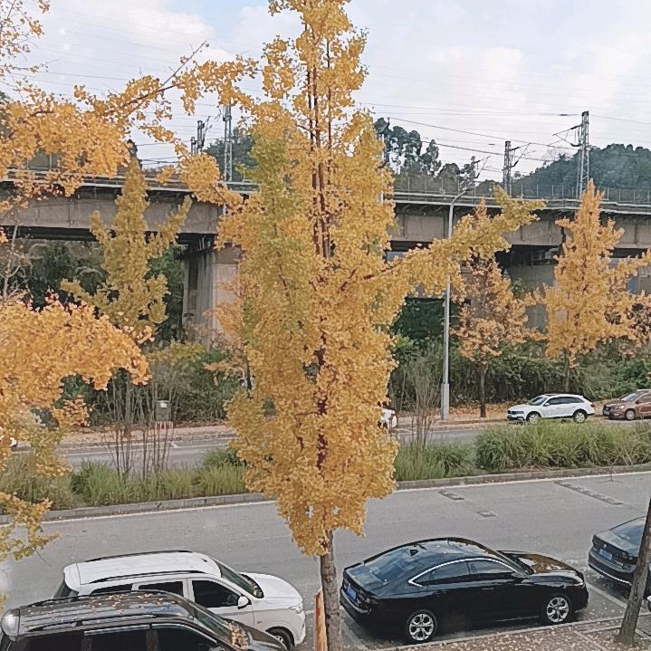 不要委屈自己