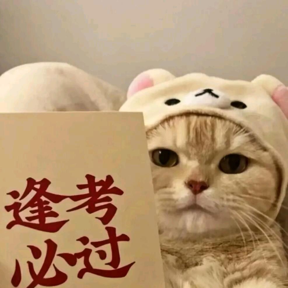 。。。。。。。。。。。