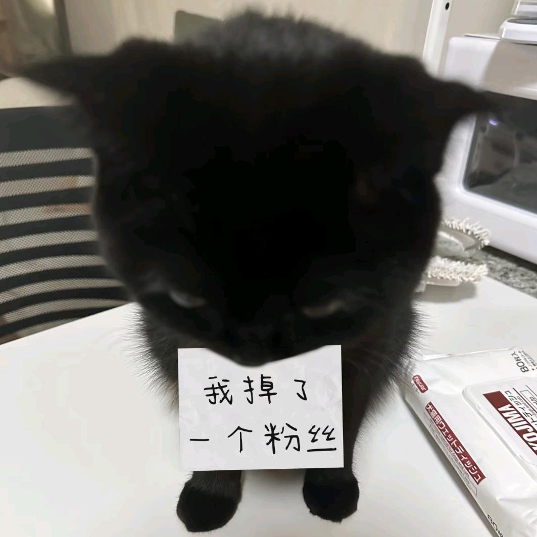 无奈的东北人12138