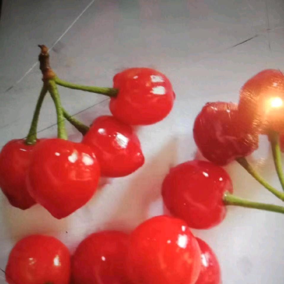 不食～五辛