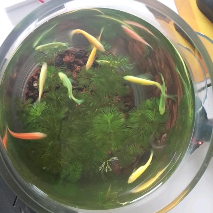 财财有余头像